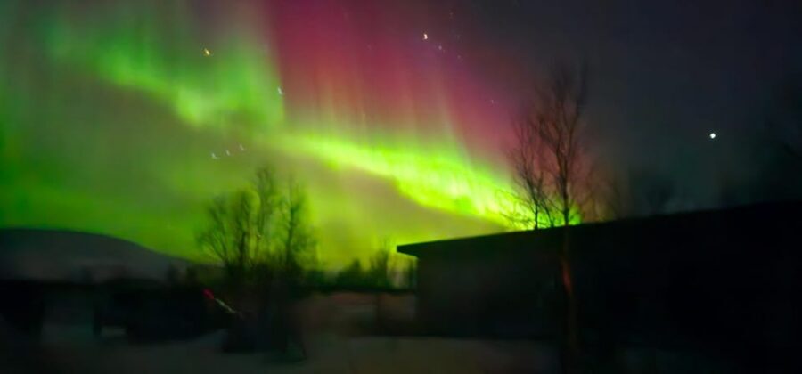 Tromsø: Northern Lights Tour with Campfire - Price and what $241 buys you (and what it doesn’t)