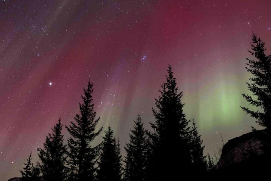 Tromsø: Northern Lights Tour with Dinner and Native Guide - Key things that make this tour worth your time