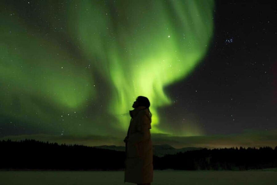 Tromsø: Northern Lights Tour with Dinner and Native Guide - The clothing reality in Tromsø: warmth is included, but you still control the layers