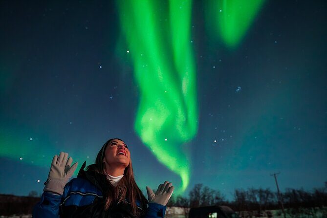 Tromsø Northern Lights Tour with Guaranteed Viewings - Key Highlights to Know Before You Go