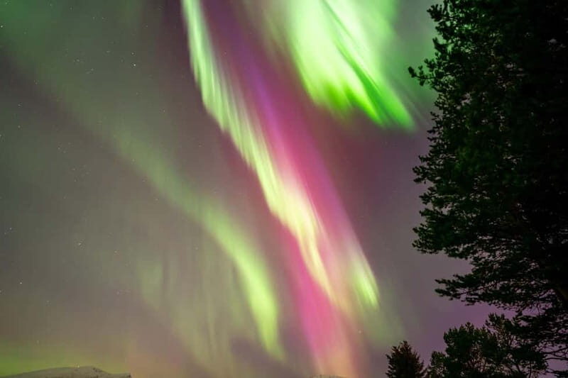 Tromsø: Northern Lights Tour with Hot Drinks and Snacks - Small-group minivan comfort in the cold: why it matters for aurora viewing