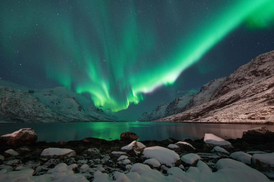 Tromsø: Northern Lights Tour with Local Guide and Photos - The Northern Lights Chase: How Flexibility Boosts Your Odds