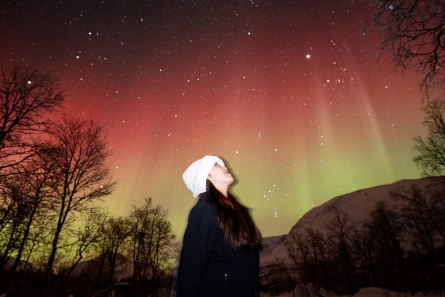 Tromsø: Northern Lights Tour with Local Guide and Photos - When the Lights Show Up: What You’ll Actually Do Out There