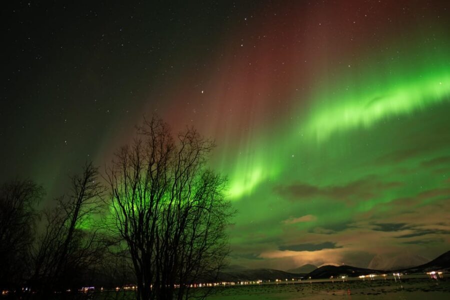 Tromsø: Northern Lights Tour with Local Guide and Photos - Who This Tour Is Best For (And Who Should Skip It)