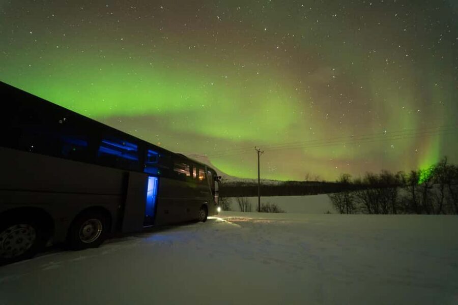 Tromsø: Northern Lights Tour with Local Stories & Photos - Price and value: is $100 worth it?