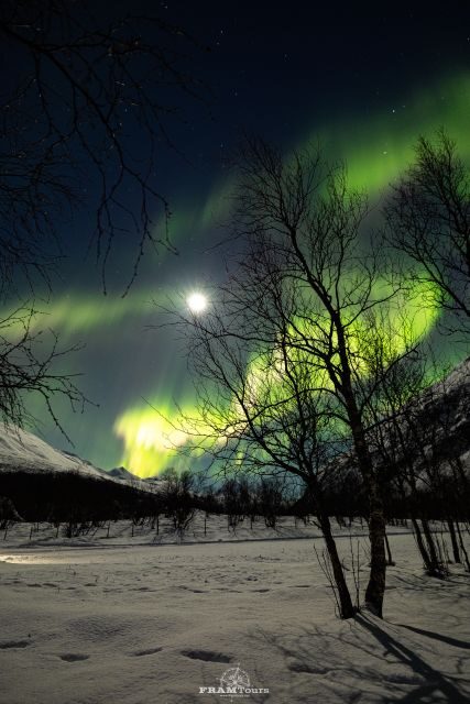 Tromso: Northern Lights Tour with Photographer - Should you book this Tromsø Aurora chase with a photographer?