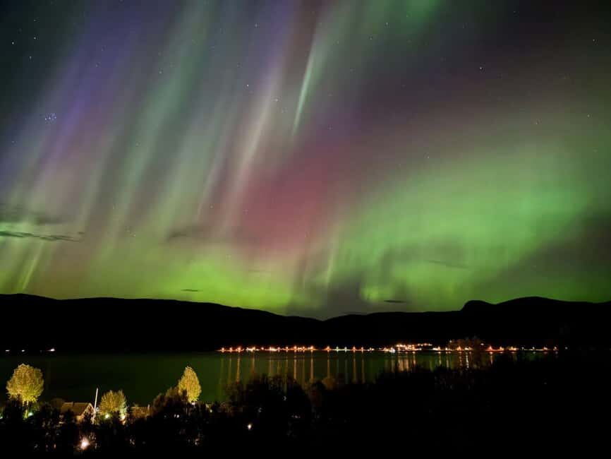 Tromsø: Northern Lights Tour with Photos & Snacks - The Road Hunt (1.5 Hours): When Weather Tech Becomes the Real Star