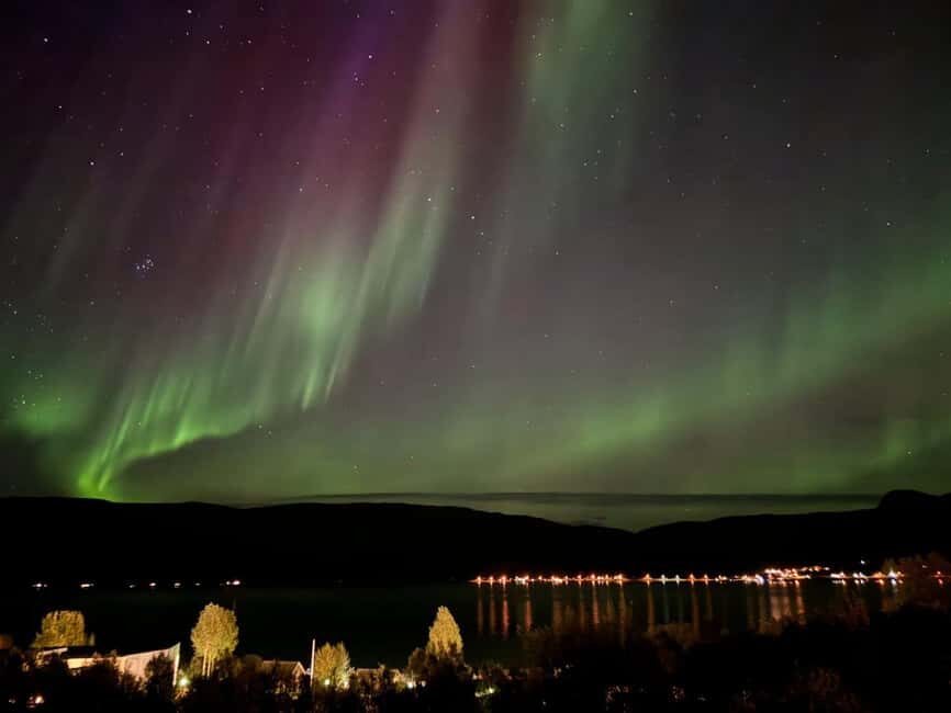 Tromsø: Northern Lights Tour with Photos & Snacks - Bonfire Break and Warm Food: Making the Cold Feel Manageable