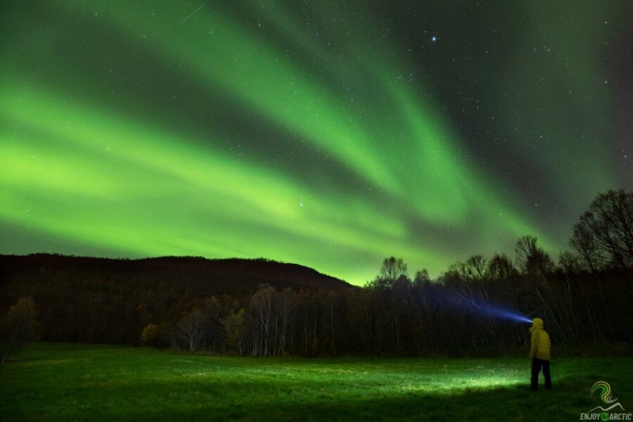 Tromsø: Northern Lights Trip with Campfire and Snacks - Meeting at Magic Ice Bar and Leaving the City’s Light Pollution