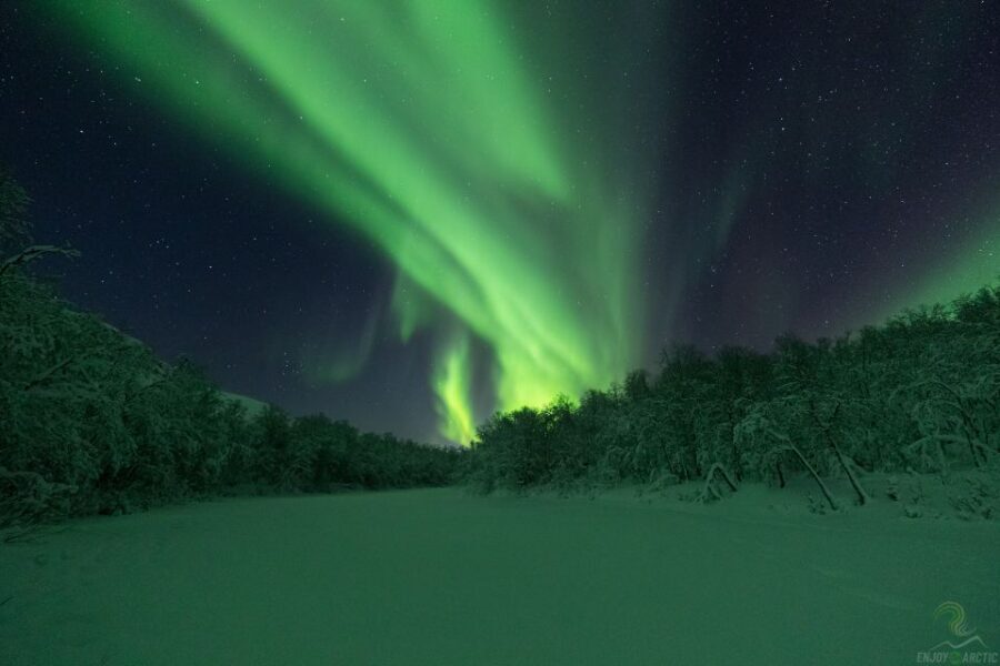 Tromsø: Northern Lights Trip with Campfire and Snacks - Timing, Warmth, and the Simple Reality: Aurora Nights Are Unpredictable