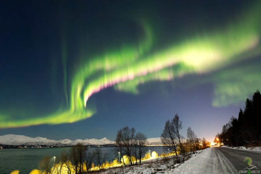 Tromsø: Northern Lights Trip with Campfire and Snacks - Price and Value: Does $150 Really Make Sense for This Tour?