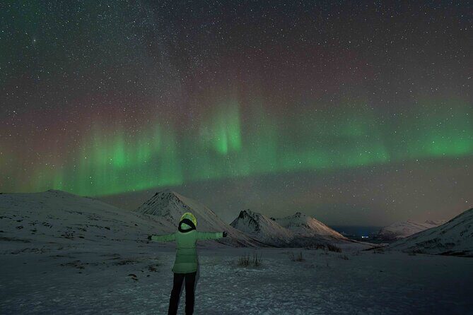 Tromsø Northern Lights with Campfire and Professional Photos - Price and Value: What $310.85 per Person Actually Buys You