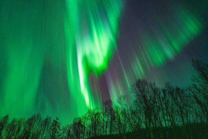 Tromsø Northern Lights with Campfire and Professional Photos - Small Group Pace: How Long Stops Actually Last