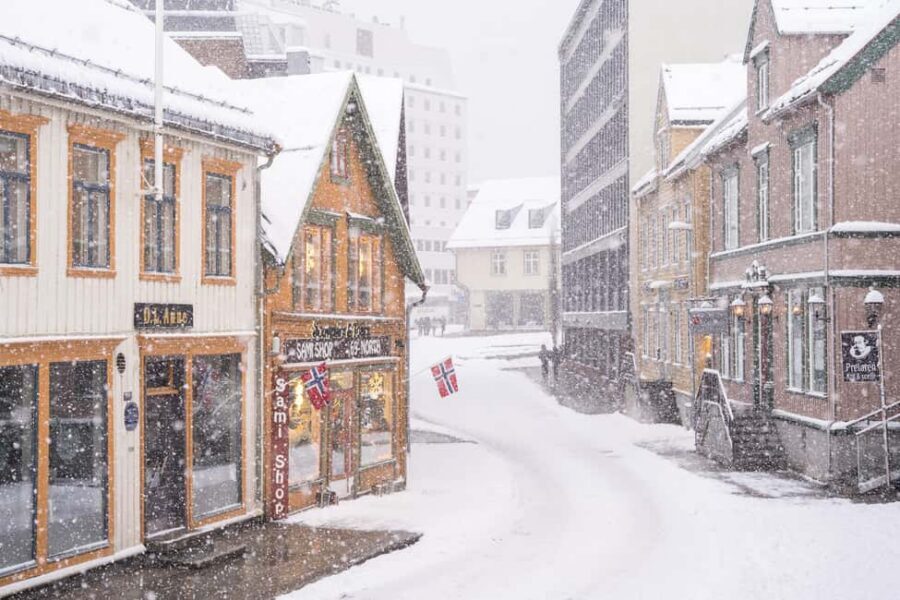 Tromsø: Old Town and Polar Museum Tour with English-speaking tour guide - A three-hour walk that explains Tromsø’s Arctic role