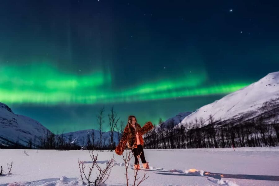 Tromsø: Premium Northern Lights Tour Small Group 8 Guests - Where you go for the lights: Kvaløya, inland valleys, or a route shift