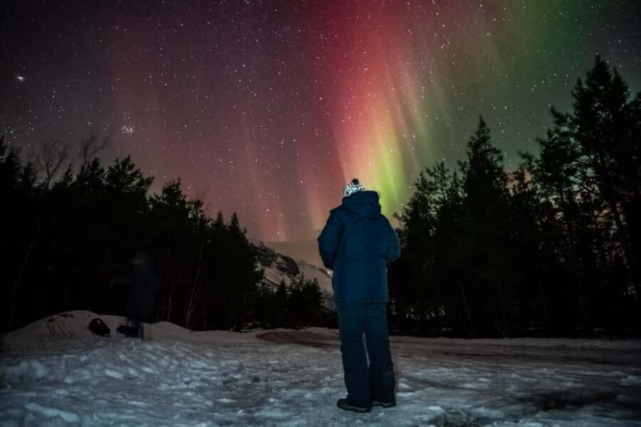 Tromsø: Premium Northern Lights Tour Small Group 8 Guests - Getting picked up in Tromsø: timing and what to expect from the van