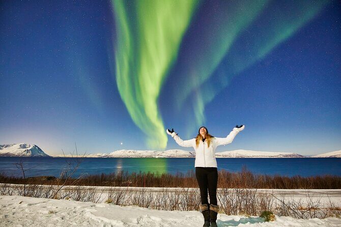 Tromso: Private Aurora Chase by Minivan - Key highlights to look for
