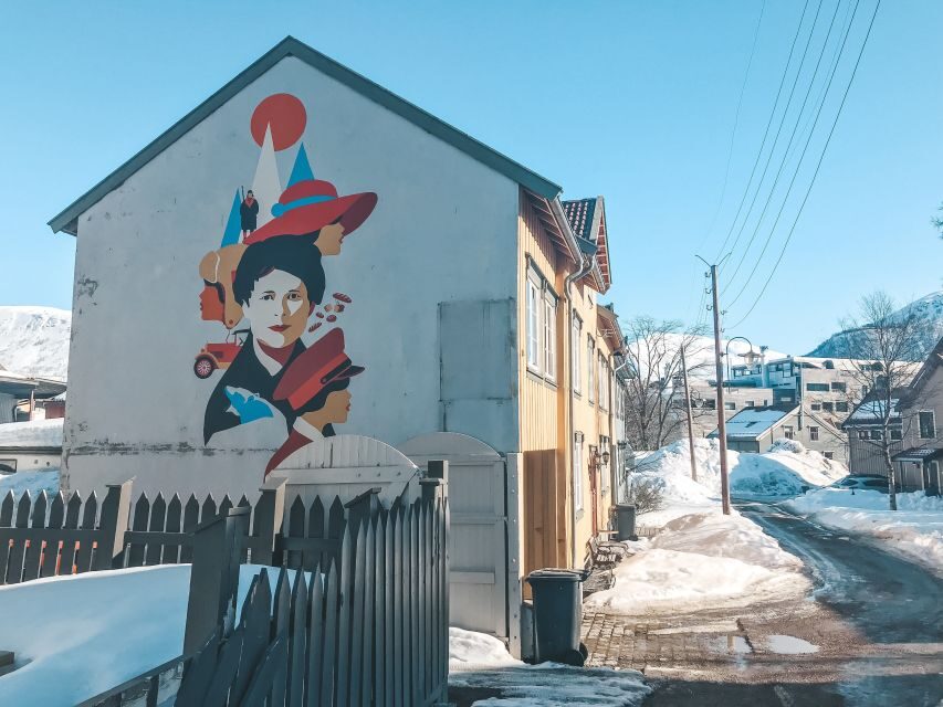 Tromsø: Private City Tour - Transportation and going beyond the center (optional)