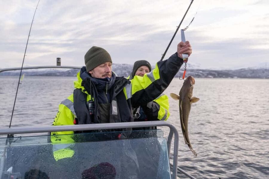 Tromsø: Private Fishing Tour - 3 hours of casting: how your skipper improves your odds