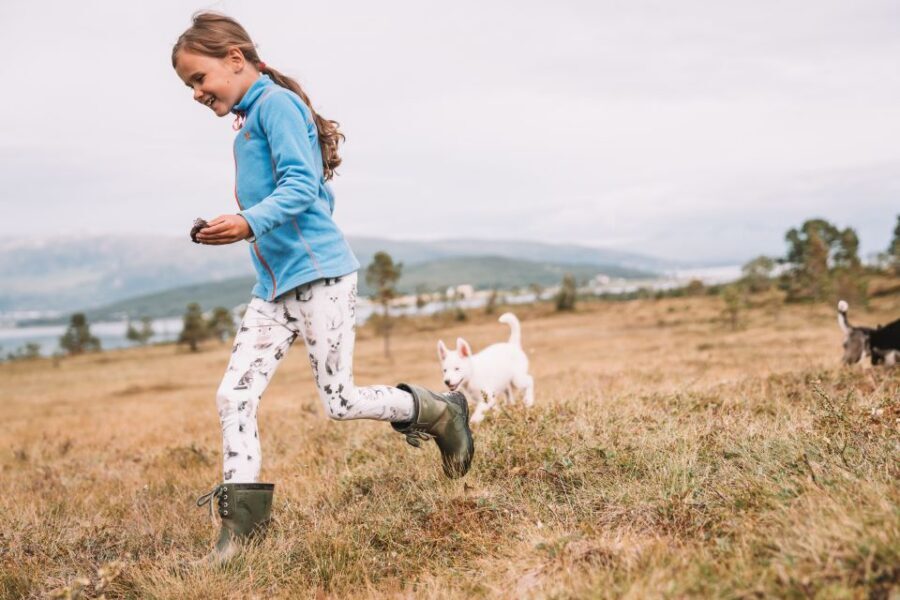 Tromsø: Puppy Training at the Husky Kennel with Lunch - Price and Value: Is $172 Reasonable for 4.5 Hours?