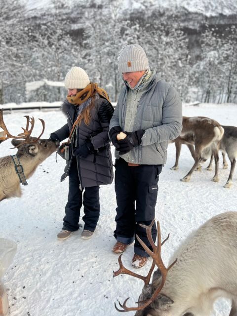 Tromsø: Reindeer Experience at a Sami Camp - Sami stories in a warm hut: why the culture talk is the point