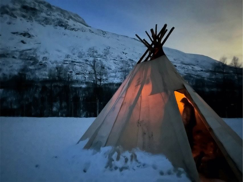 Tromsø: Reindeer Experience at a Sami Camp - First contact at the Sami camp: feeding reindeer and getting the real deal