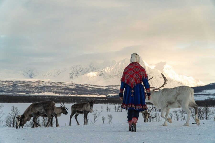Tromsø: Reindeer Feeding and Sami Cultural Experience - What happens at the reindeer camp enclosure