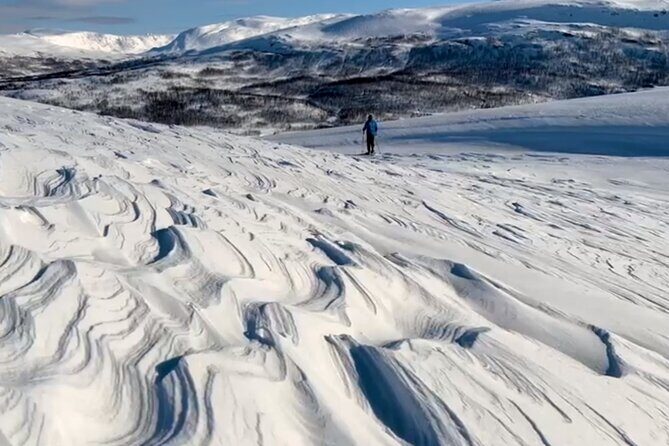 Tromso: Reindeer Feeding and Snowshoeing Tour with Lunch - Key highlights you’ll feel right away