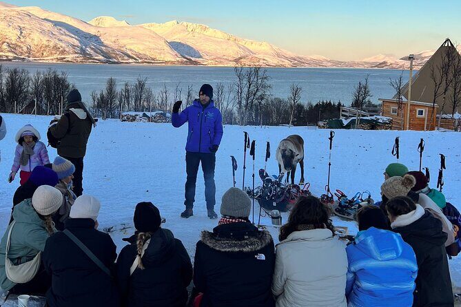 Tromso: Reindeer Feeding and Snowshoeing Tour with Lunch - Snowshoeing for Beginners: What You’ll Actually Do