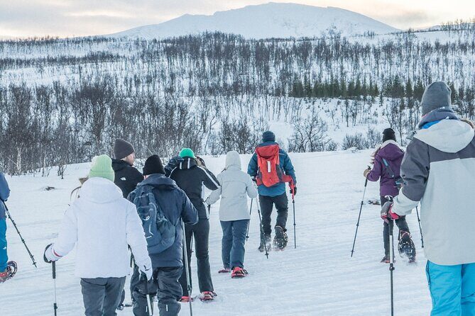 Tromso: Reindeer Feeding and Snowshoeing Tour with Lunch - Price and Value: Is $152.16 Worth It?