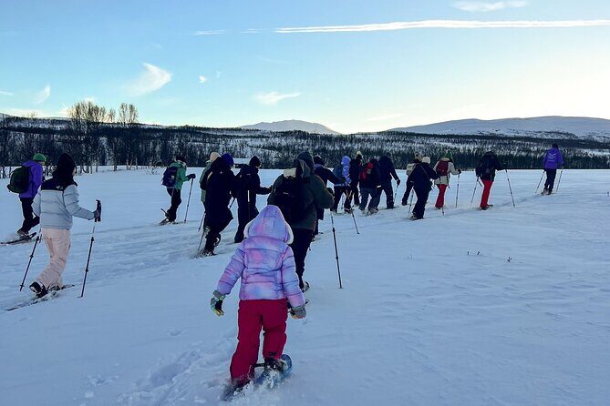 Tromso: Reindeer Feeding and Snowshoeing Tour with Lunch - Getting to the Camp: Tromsø Bus Terminal to the Snow