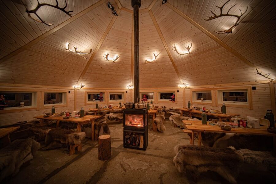 Tromsø: Reindeer Feeding & Chance of Northern Lights Viewing - Key highlights worth your time