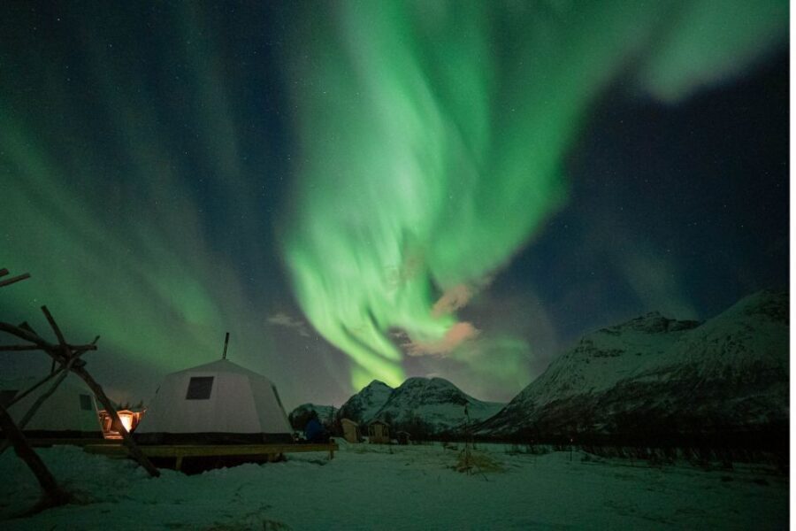 Tromsø: Reindeer Feeding & Chance of Northern Lights Viewing - Meet at Radisson Blue, then ride for the Lyngen Alps views