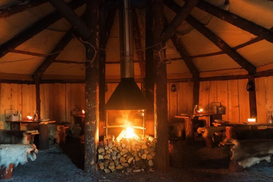 Tromsø: Reindeer Sled, Dinner, and Chance of Northern Lights - Key takeaways