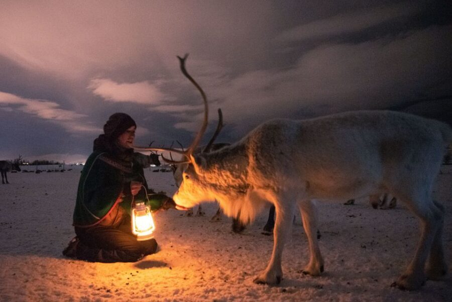 Tromsø: Reindeer Sled, Dinner, and Chance of Northern Lights - Getting picked up in Tromsø at 17:40 (and why arriving early matters)