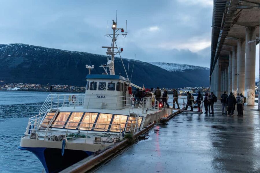 Tromsø: Responsible Whale Watching Cruise Aboard MS Alba - Key things to know before you go
