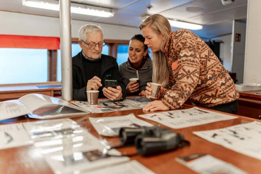 Tromsø: Responsible Whale Watching Cruise Aboard MS Alba - What you’re actually looking for: orcas and humpbacks in winter fjords