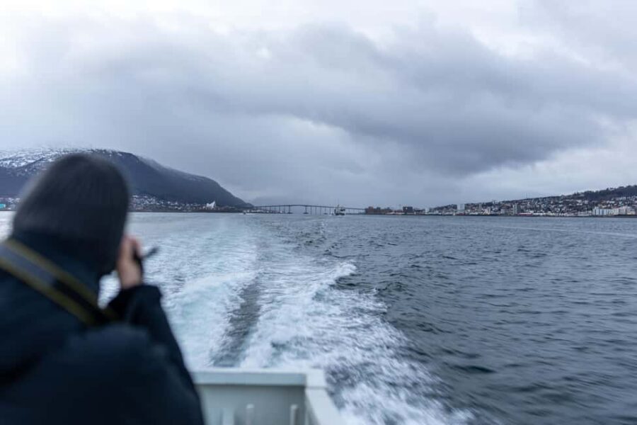 Tromsø: Responsible Whale Watching Cruise Aboard MS Alba - The best viewing strategy: use the whole boat, not just one spot