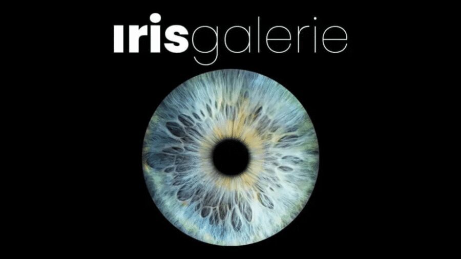Tromsø: Reveal Your Eye Experience at the Iris Galerie - Tromsø Iris Galerie: A Cozy Arctic Stop When the Weather Says No