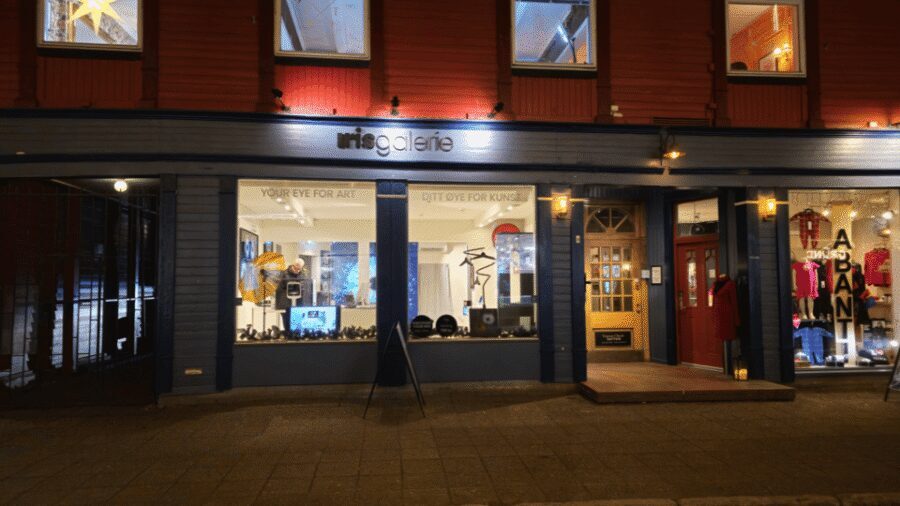 Tromsø: Reveal Your Eye Experience at the Iris Galerie - Price and Time: Is It Worth $1.57?