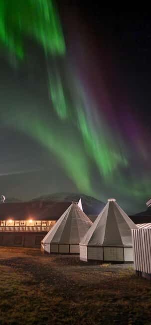 Tromsø: Sami Culture & Reindeer with Transport - Key highlights worth your attention