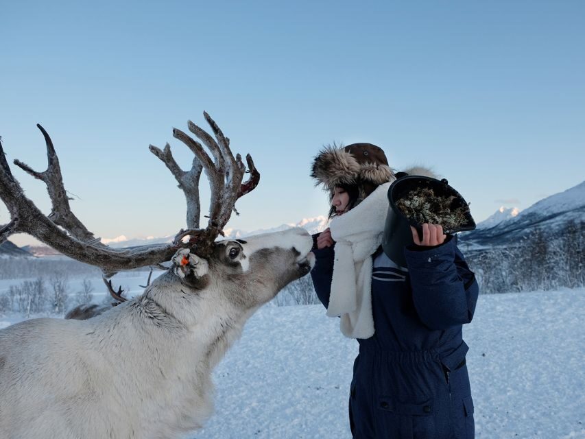 Tromsø: Sámi Reindeer Sledding and Sami Cultural Tour - What to Pack (and What Not to): Your Winter Comfort Checklist