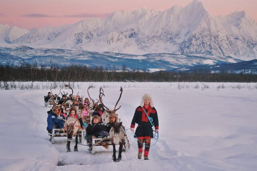 Tromsø: Sámi Reindeer Sledding and Sami Cultural Tour - Price and Value: Does $230 Make Sense for What You Get?