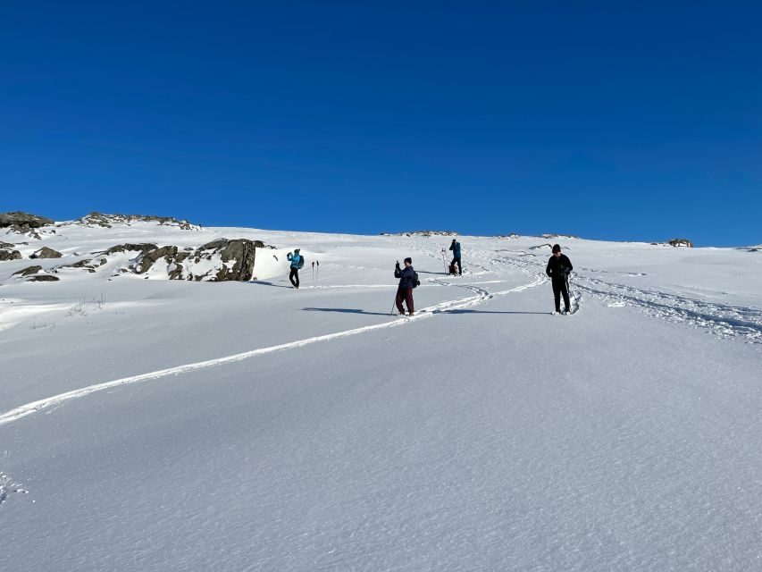 Tromso: Scenic & Eco-Friendly Snowshoeing Tour - FAQ