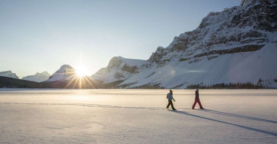 Tromso: Scenic & Eco-Friendly Snowshoeing Tour - Price, Value, and What You’re Actually Buying