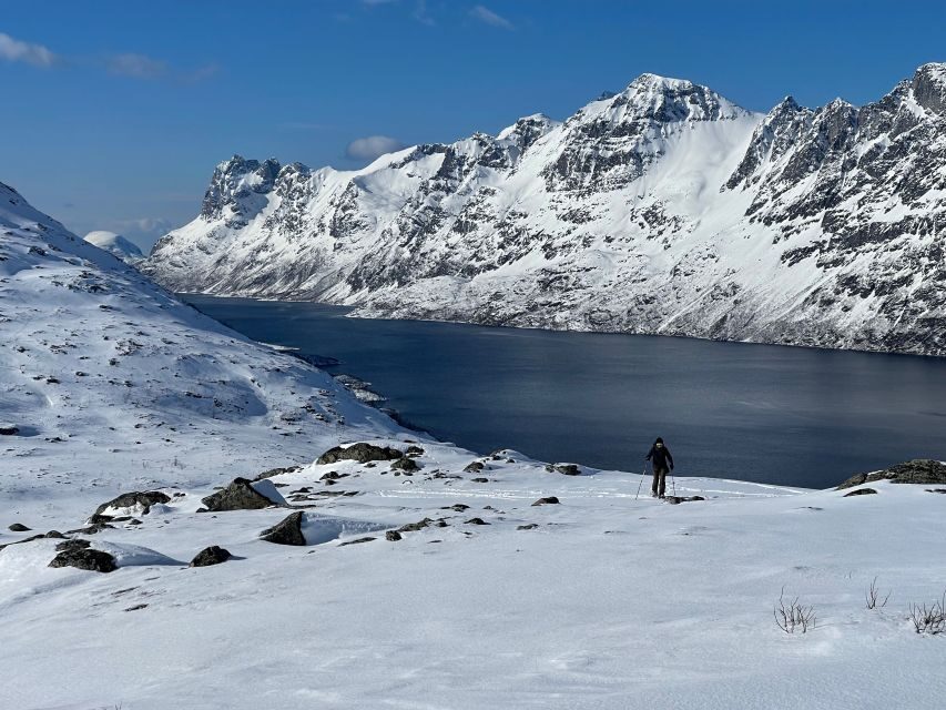 Tromso: Scenic & Eco-Friendly Snowshoeing Tour - Should You Book This Tromsø Snowshoeing Tour?