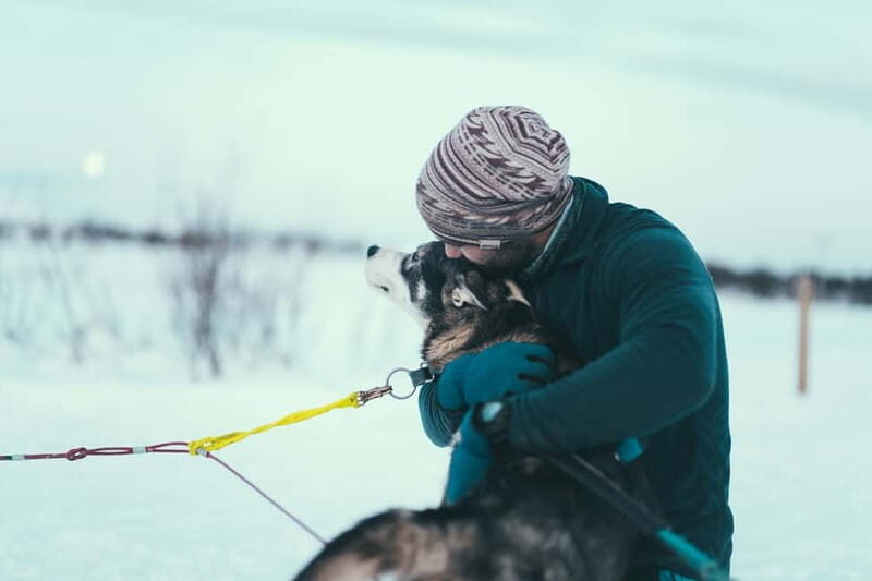 Tromsø: Self-Drive Husky Dog Sledding Adventure - Who This Husky Sledding Ride Is For (and Who Should Skip It)