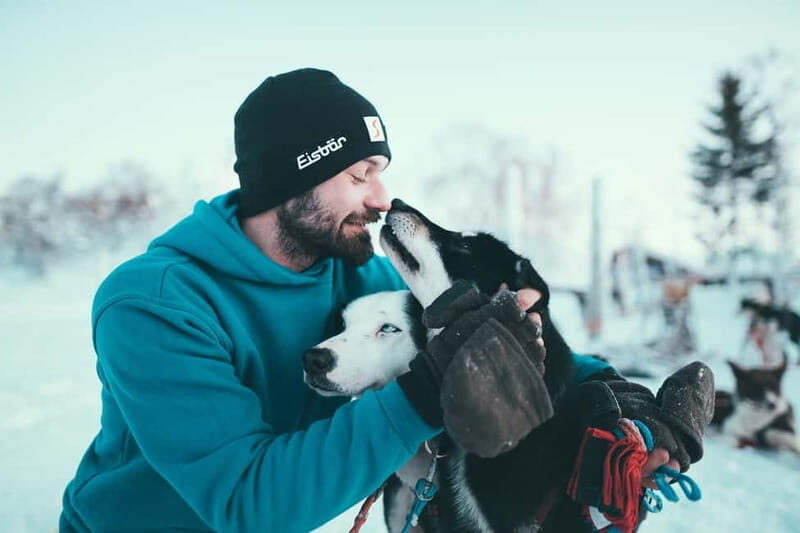 Tromsø: Self-Drive Husky Dog Sledding Adventure - Scandic Ishavshotel Meet-Up and the Minibus Ride to Kvaløya