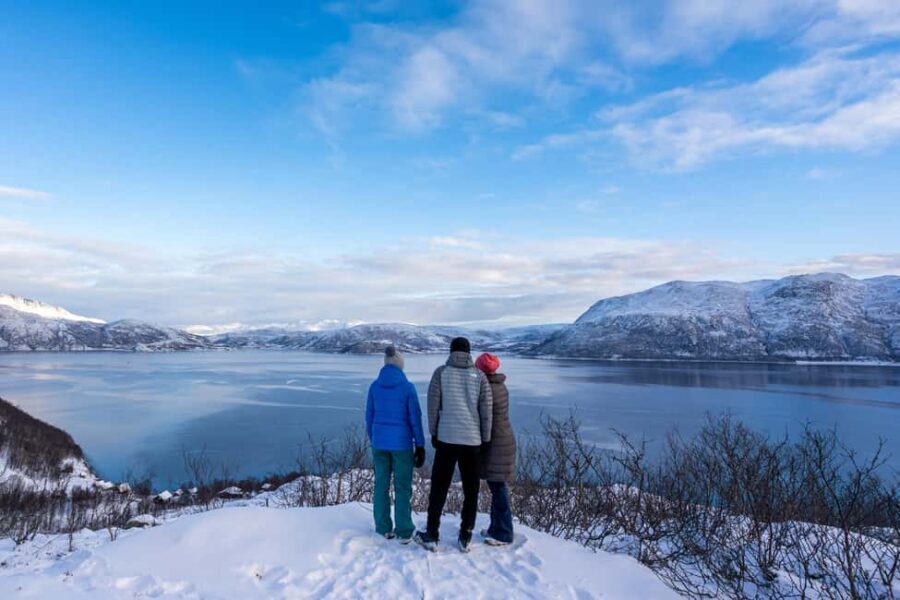 Tromsø: Senja Fjord Tour in Chinese/English Small-Group - The van portion: 3 hours of scenery with purposeful stops