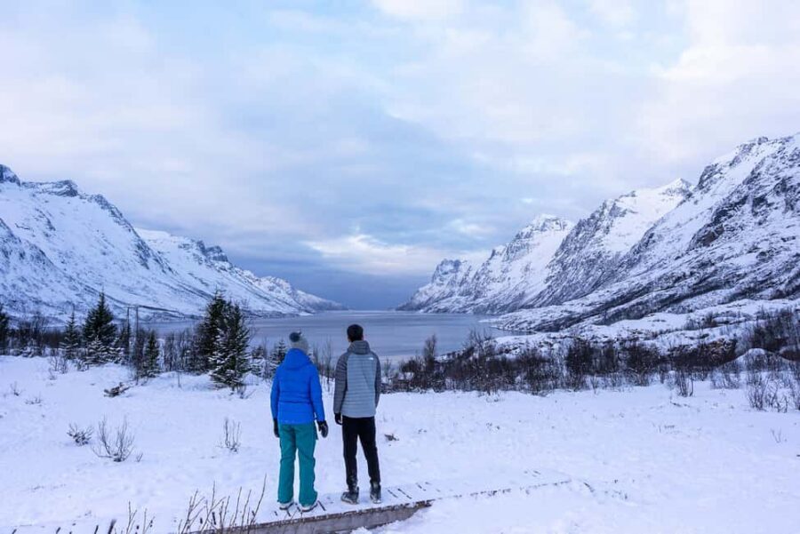 Tromsø: Senja Fjord Tour in Chinese/English Small-Group - Wildlife spotting: what you can realistically watch for